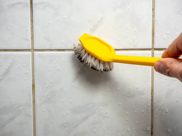 Best Mold Removal Company Near Me  in Galena, OH