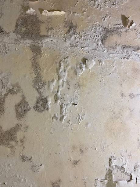 Best Mold Cleaning Services  in Galena, OH